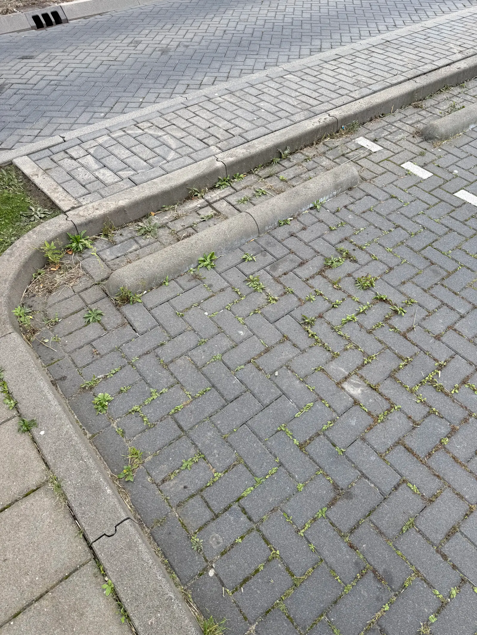 Oprit, Terras & Terrein